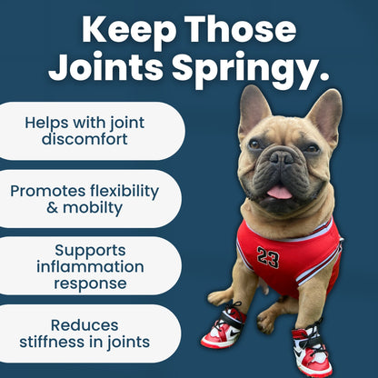 Joint Support - TJ Pro